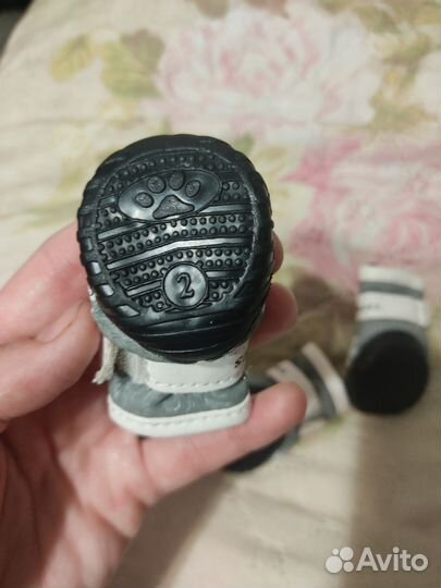 Ботиночки для мелких пород собак