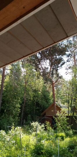 Участок 6 сот. (СНТ, ДНП)