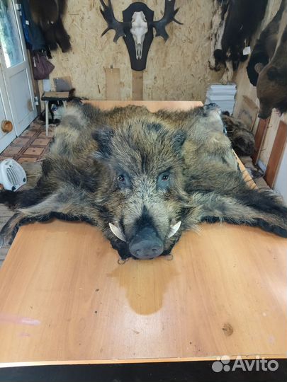 Ковер кабана