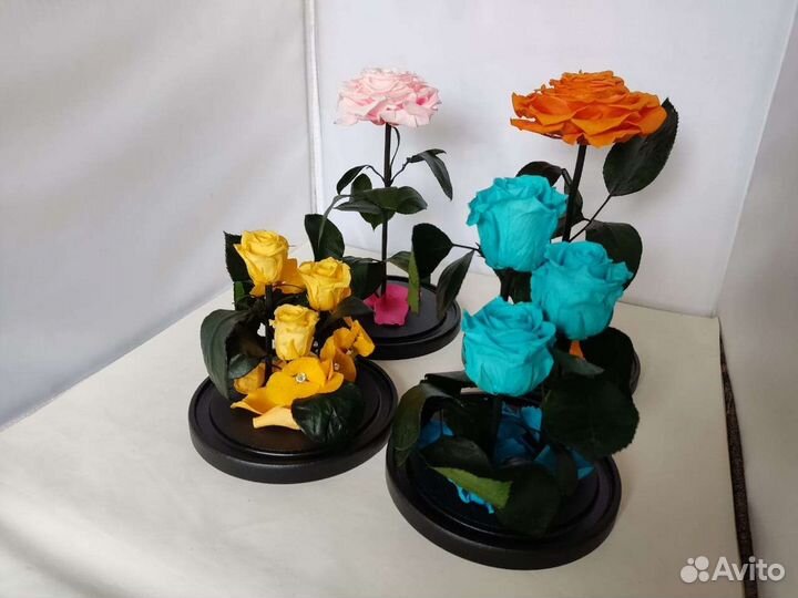 Роза в колбе