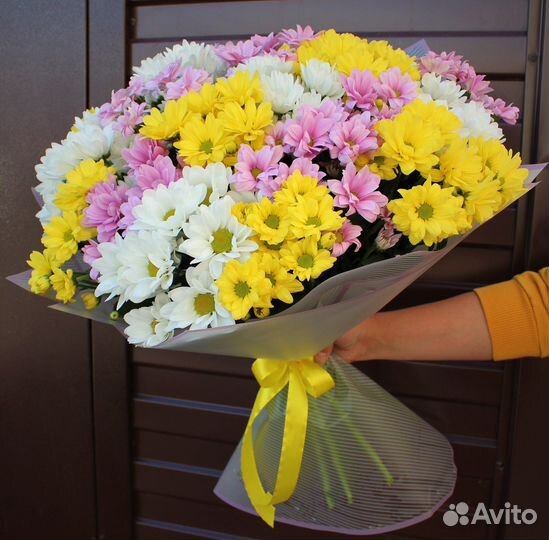15 кустовых хризантем с доставкой в Кемерово