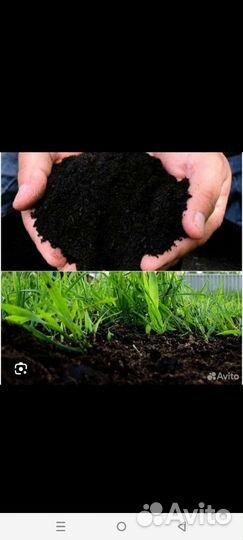 Чернозем в мешках