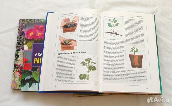 Книги о Комнатных растениях