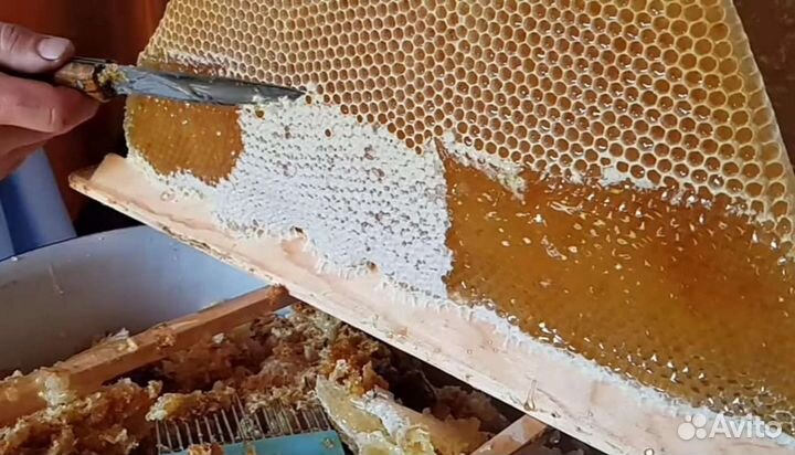 Мëд разнотравье из Беларуси