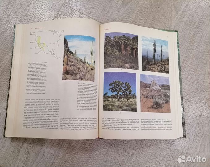 Современная ботаника