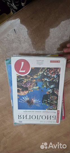 Книги 7 класс