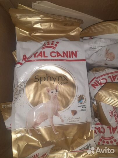 Royal canin сфинкс