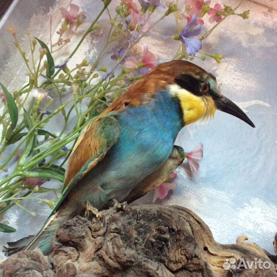 Панно 3d «Щурки». Охотничьи трофеи