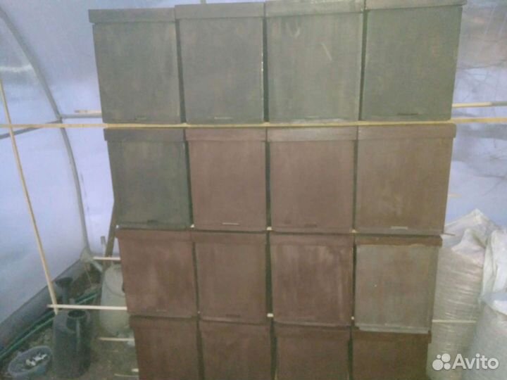 Ловушки для пчел