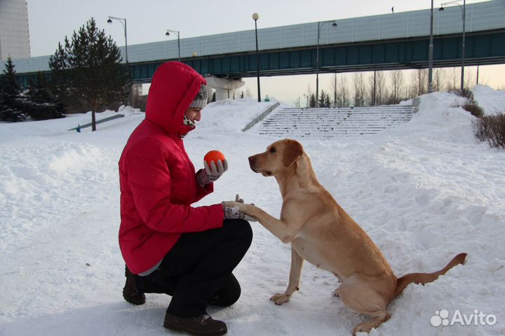 Кинолог зоопсихолог