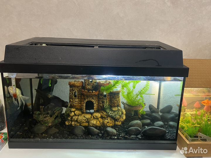 Аквариум и все для аквариума