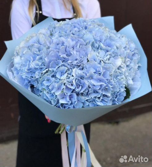 Гортензия цветы букеты