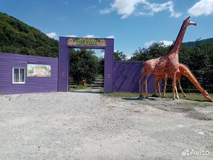 Отдых на черном море