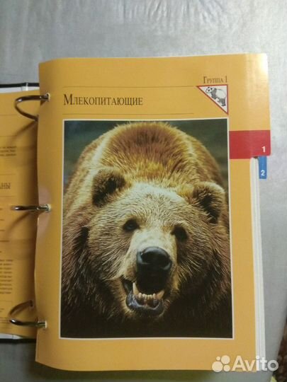 Папка энциклопедия