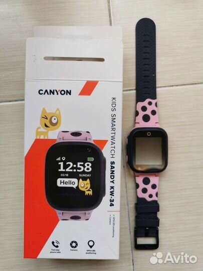 Смарт-часы Canyon Sandy