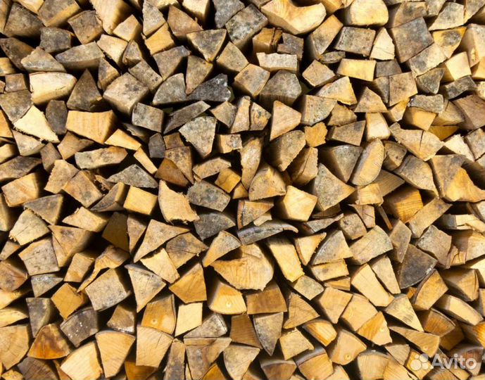 Дрова береза