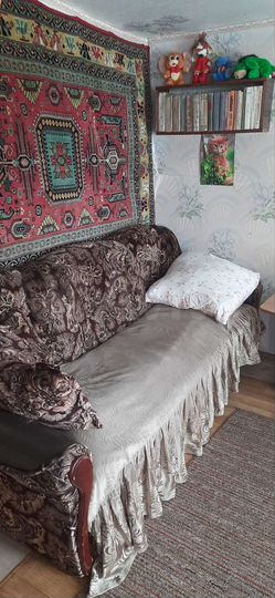 Дача 50 м² на участке 6 сот.