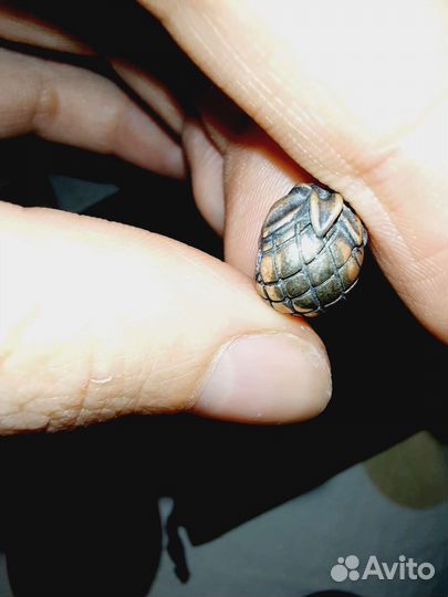 2 шарма sunlight