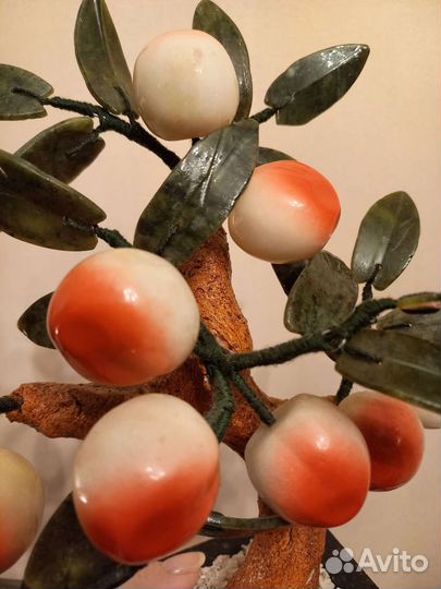 Дерево персиковое