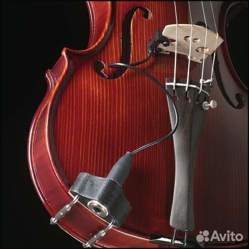 Скрипач, Скрипка, Музыкант