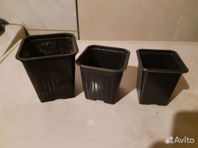 Стаканы для рассады Р8, Р9 бу купить в Ростове-на-Дону | Товары для ...