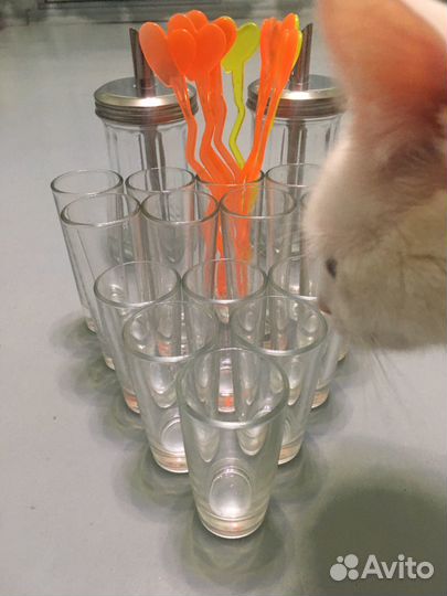 Шоты, тарелки