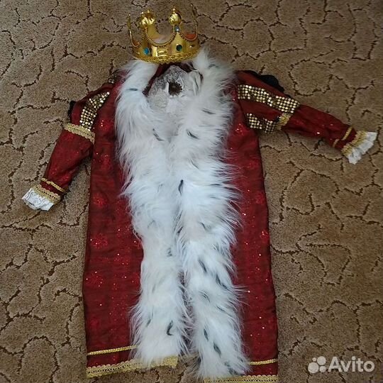 Новогодний костюм 5,7 лет