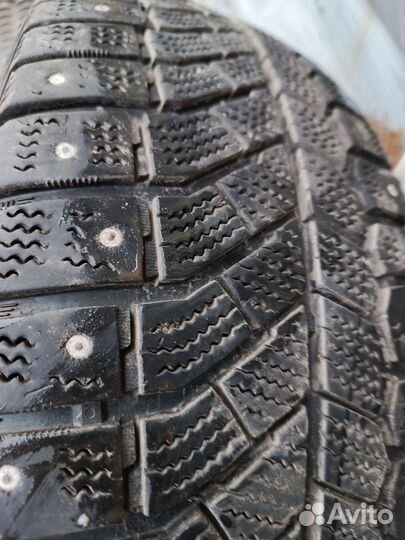 Viatti Brina Nordico V-522 205/60 R16