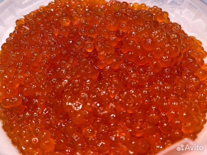 Красная икра. Опт