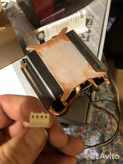 Боксовый кулер amd