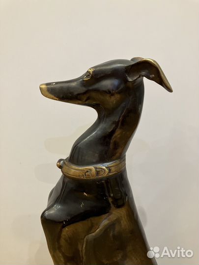 Бронзовая собака