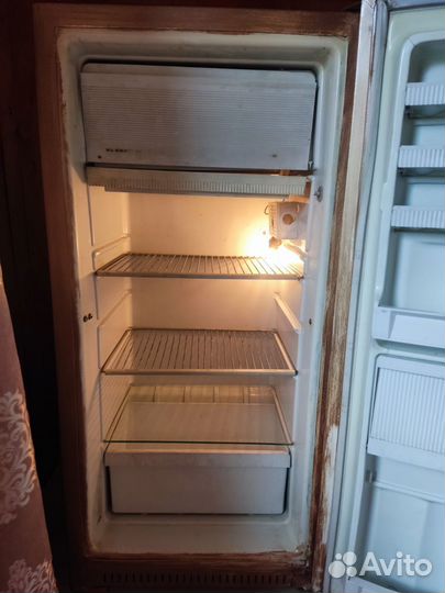 Холодильник Бирюса, старый