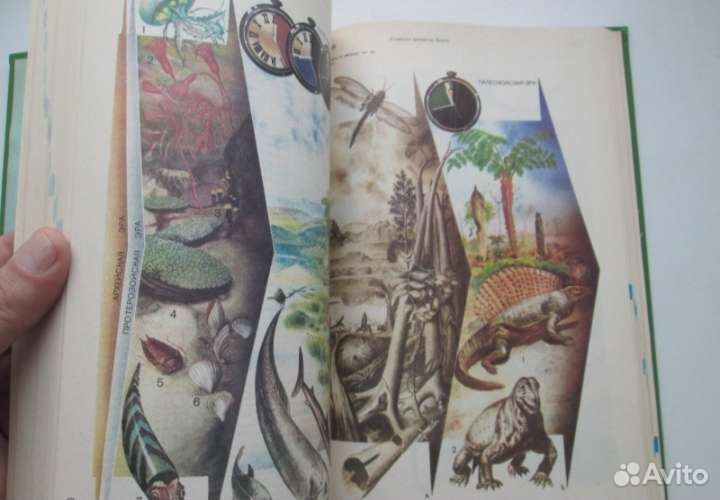 Энциклопедический словарь юного биолога 1986г,ссср