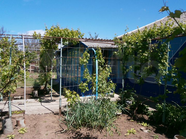 Дом 55,7 м² на участке 16 сот.