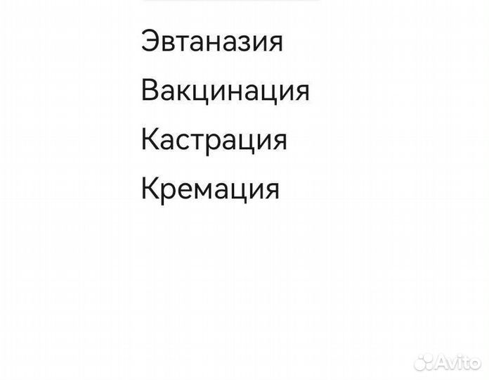 Ветеринарные услуги на дом: эвтаназия, кастрация