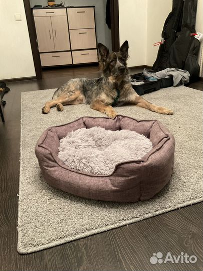 Лежанка PerseiLin для кошек и собак