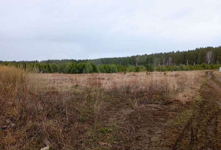 Участок 13 сот. (ИЖС)