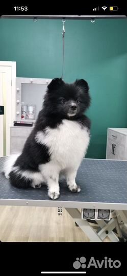 Ищем невесту