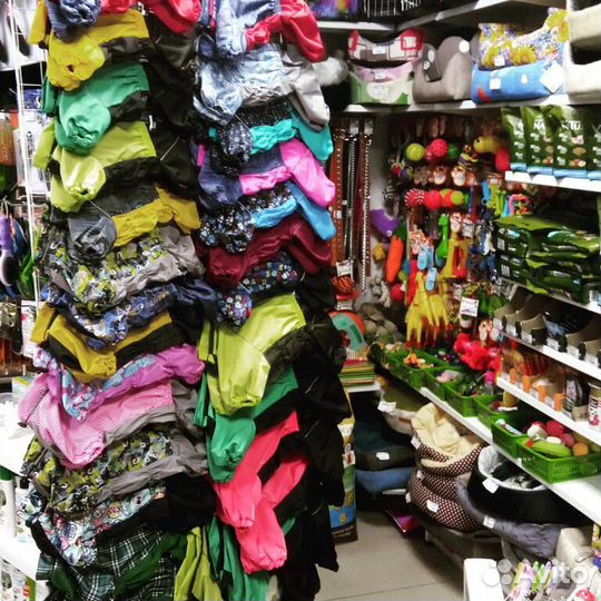 Одежда для собак