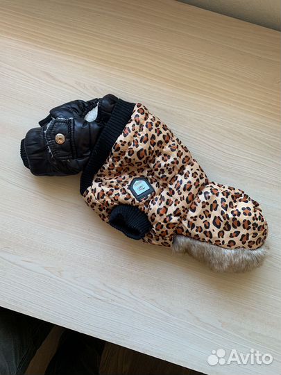 Одежда для собак мелких пород