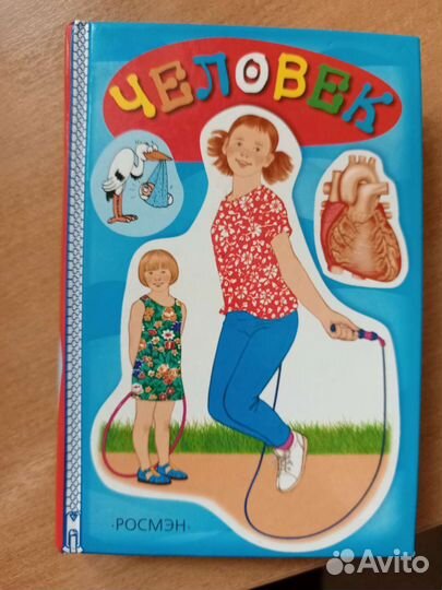 Анатомия человека