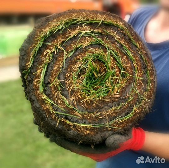 Рулонный газон с гарантией от производителя