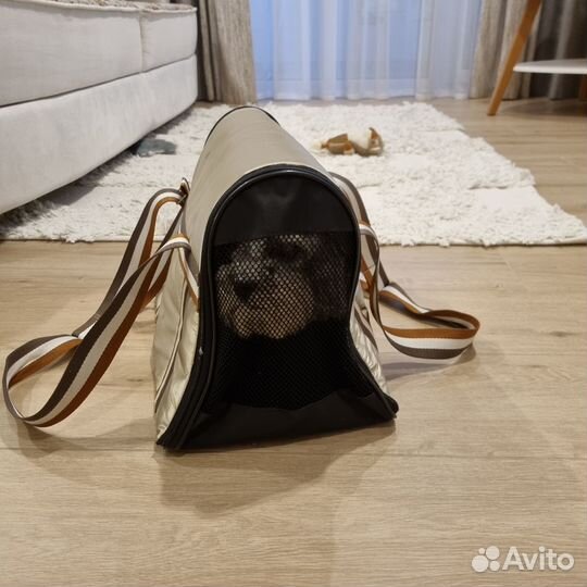 Переноска для собак в самолет