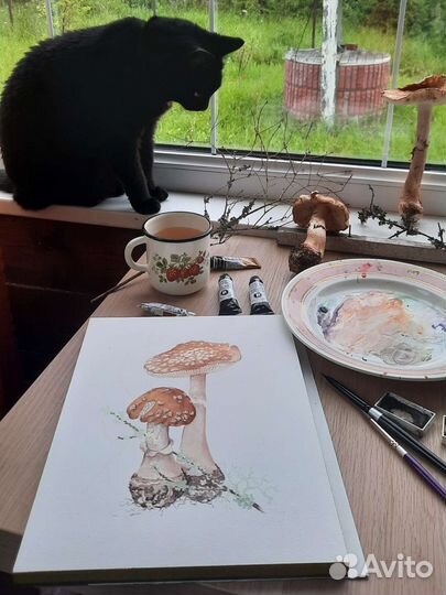 Ботаничекая иллюстрация. Акварель. Мухоморы