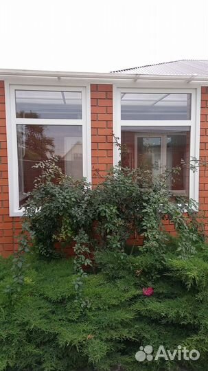 Пластиковые окна, пвх двери от завода