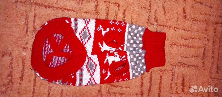 Одежда для собак