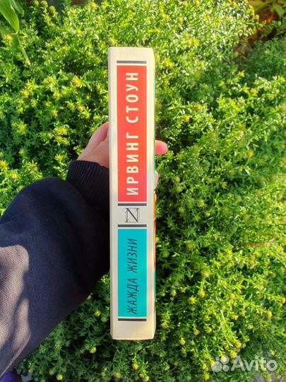 Книга Ирвинга Стоуна 