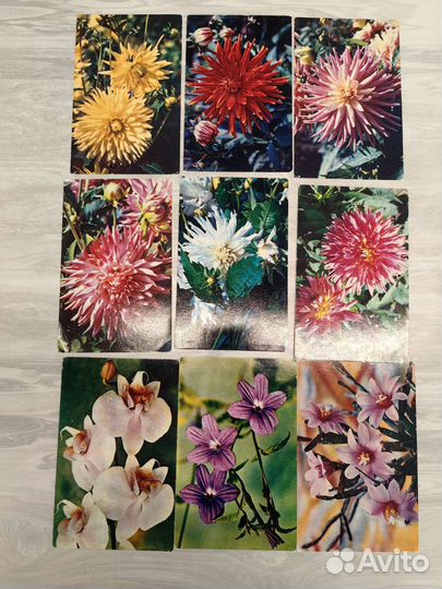 Наборы открыток и почтовые открытки СССР