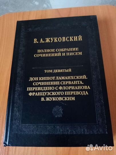 В. А. Жуковский Дон Кишот