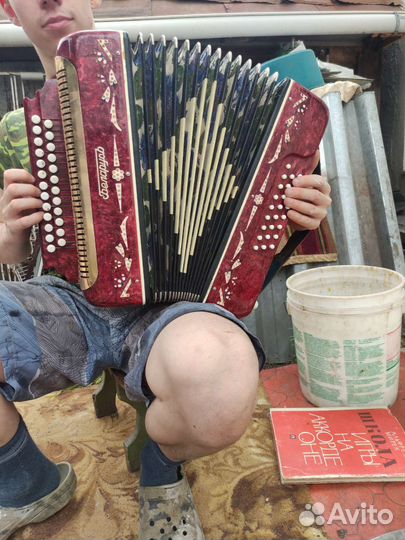 Аккордеон Шуя,баян Беларусь